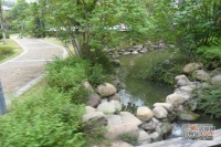 木樨园实景图图片