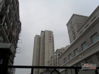 苏建城实景图图片