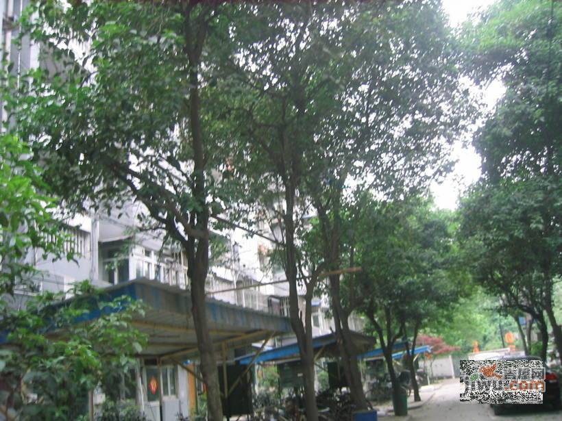 百子亭后小区实景图图片