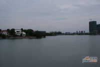 佳湖绿岛实景图图片
