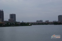 佳湖绿岛实景图图片