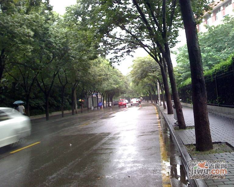 汉口西路小区实景图图片
