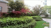 盛世花园实景图图片