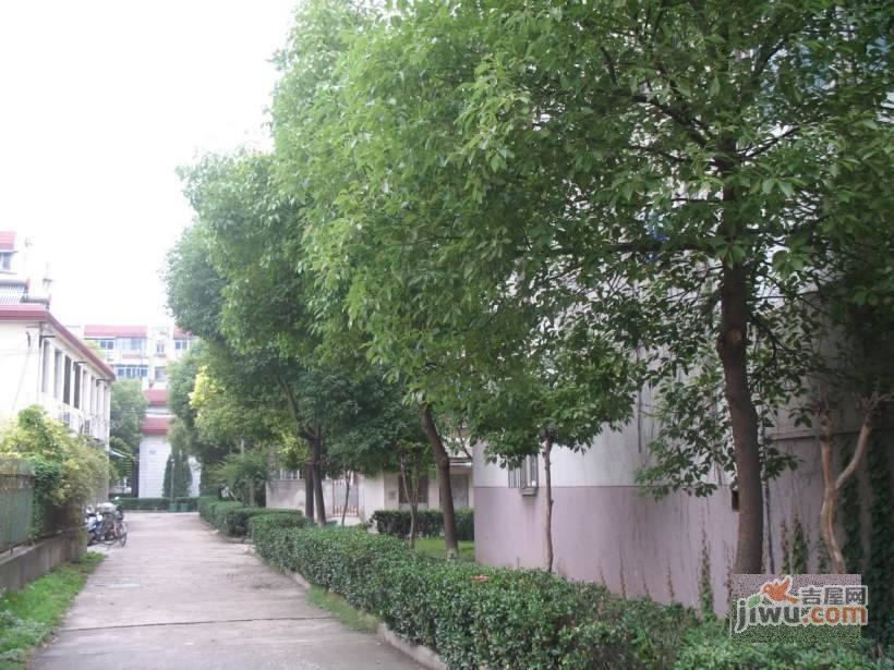腾飞园实景图图片