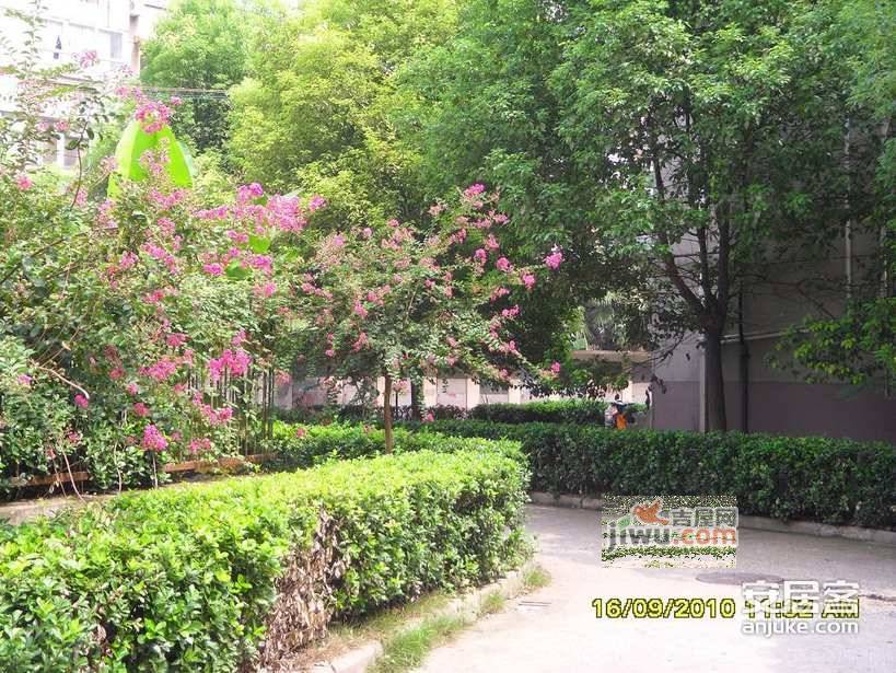腾飞园实景图图片