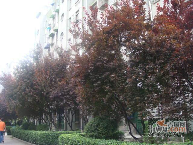腾飞园实景图图片