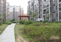 城市绿洲花园实景图图片