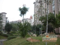 市政天元城椰树座实景图图片