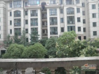 市政天元城椰树座实景图图片