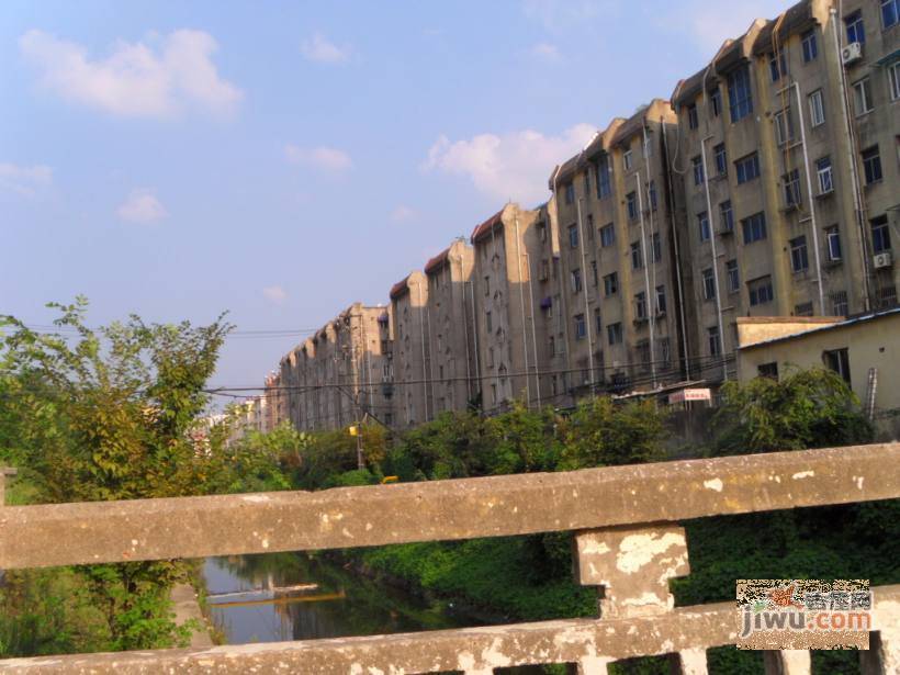 外港新村实景图图片