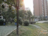 华汇康城实景图图片