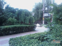 黄埔花园实景图图片