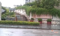 天元吉第城实景图8