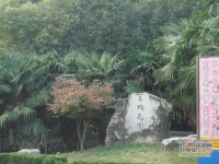 台城花园实景图8