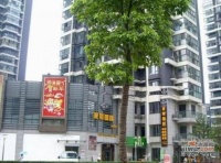 亚东国际公寓实景图图片