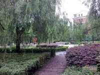 长阳花园实景图图片
