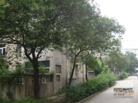 杨庄西村小区实景图图片