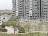 海润枫景花园实景图图片