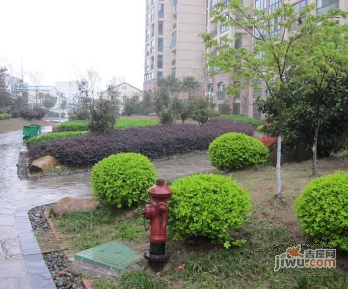万欣花园实景图图片