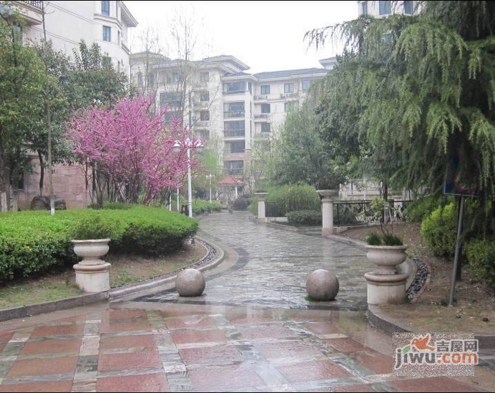 万欣花园实景图图片