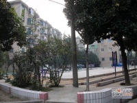 新华三村实景图图片