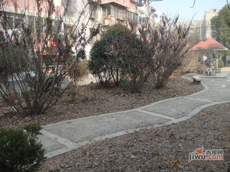 樱驼山庄实景图2