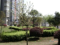 浦东花园实景图图片