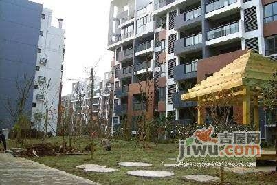 花雨南庭实景图图片