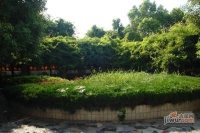 银轮花园实景图图片