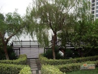 湖畔水竹苑实景图图片
