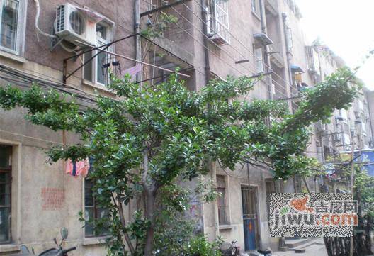 石榴新村实景图图片