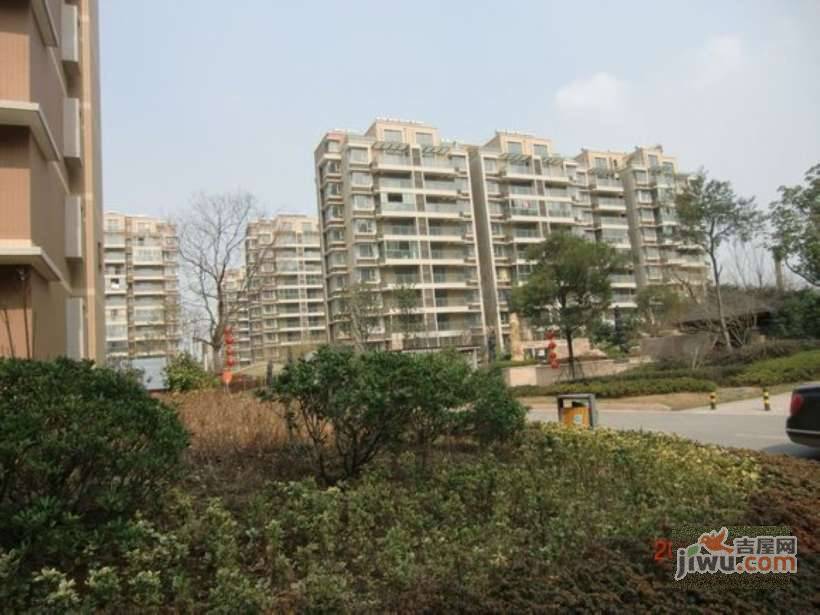 新城邻里实景图图片