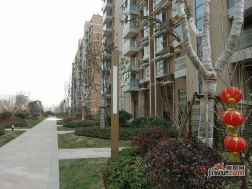 新城邻里实景图图片