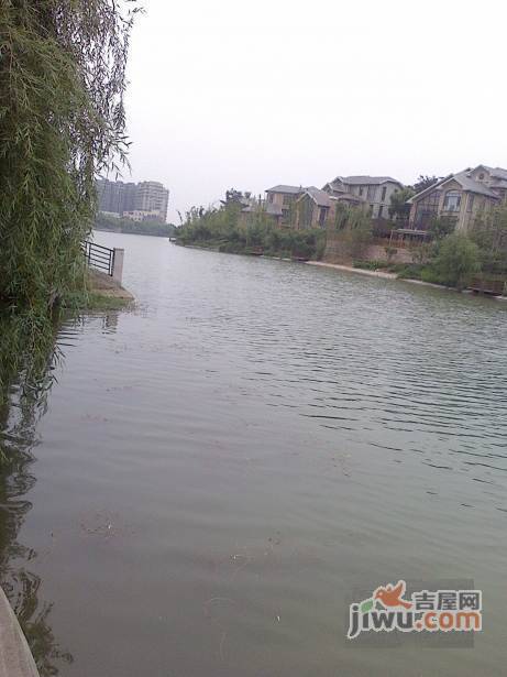 翠屏国际城香樟苑实景图图片