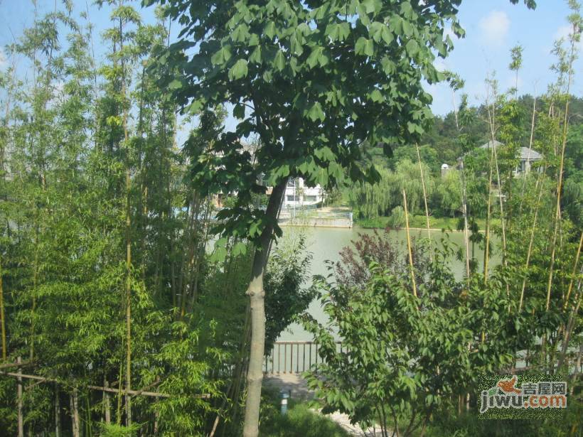 翠屏国际城香樟苑实景图图片