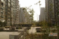 万江共和新城地和苑实景图图片