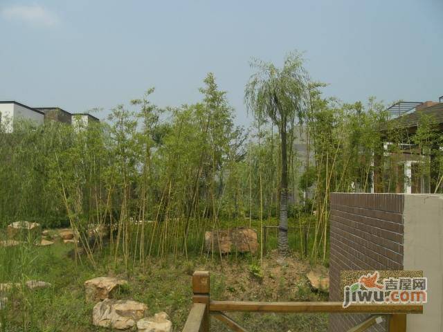 新城尚东花园实景图图片