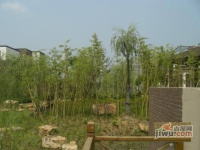 新城尚东花园实景图图片