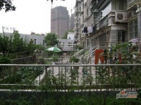 城市花园实景图图片