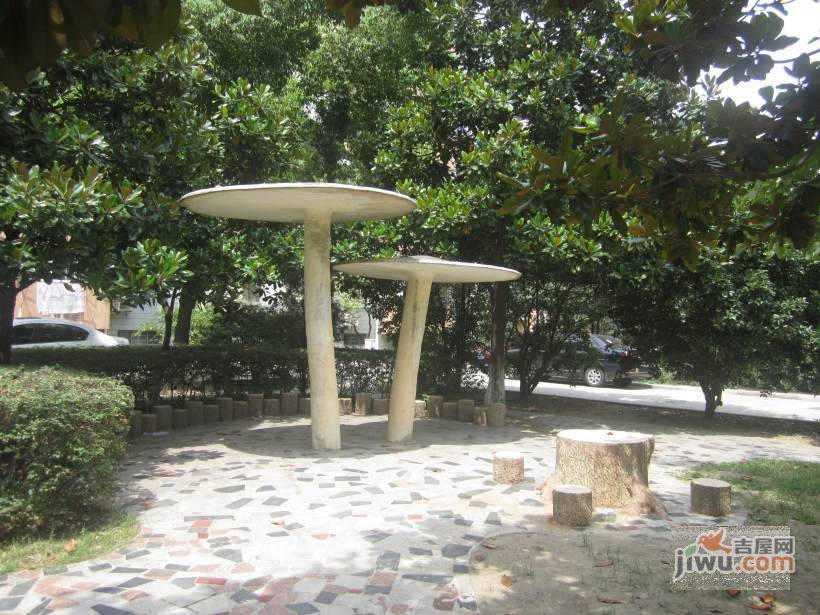 碧树园实景图图片