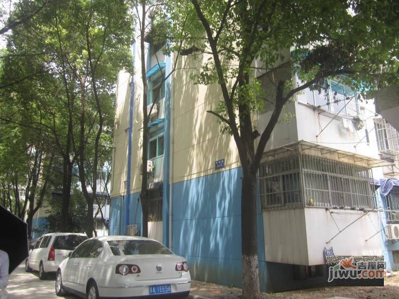 碧树园实景图图片