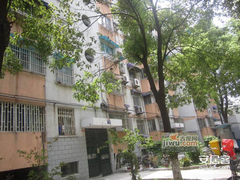 碧树园实景图图片