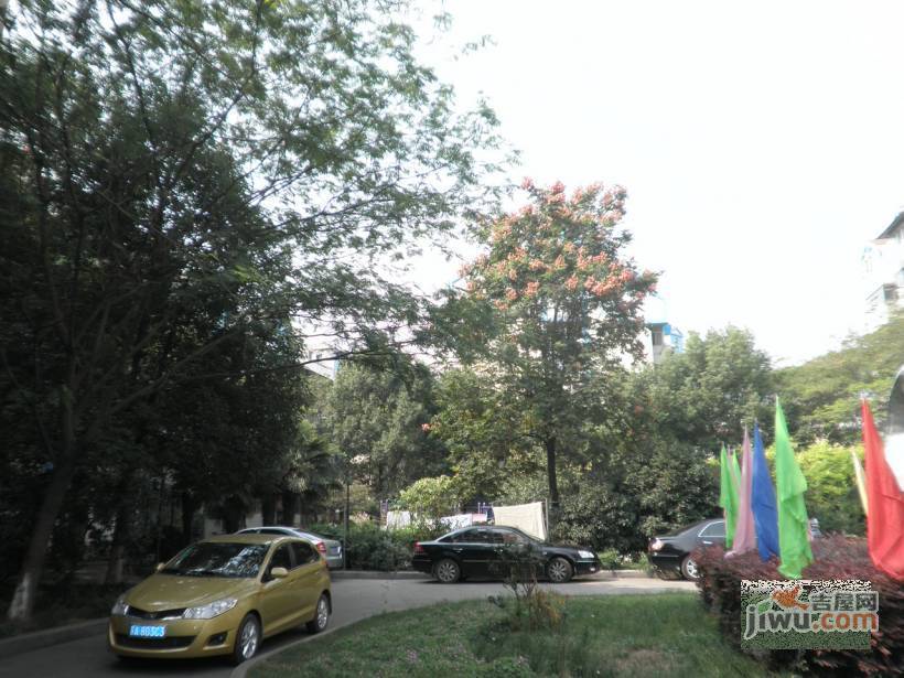 碧树园实景图图片