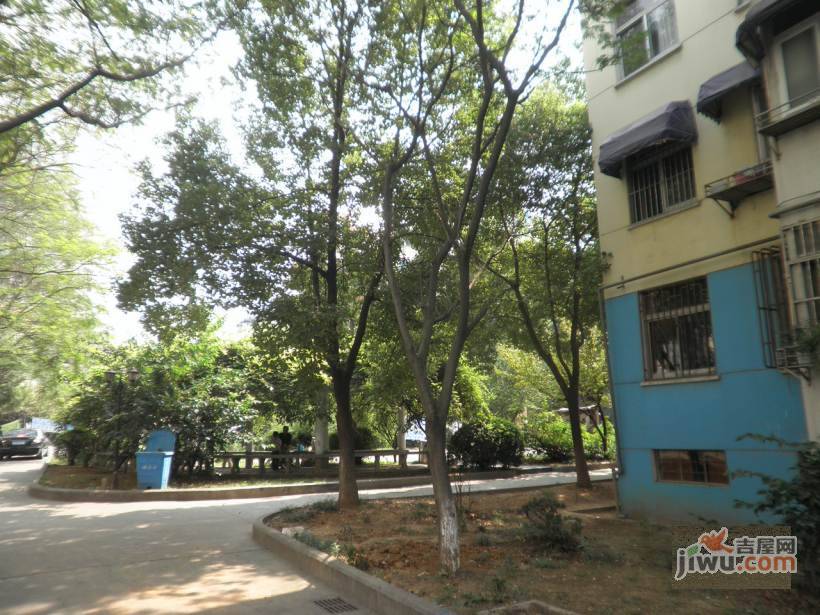 碧树园实景图图片