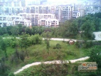 华汇康城实景图图片