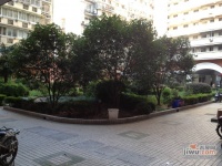 长江花园实景图图片