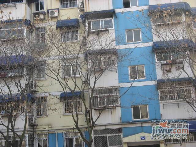 碧树园实景图图片