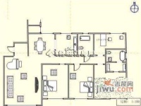 帝柏湾4室2厅3卫288㎡户型图