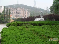 盛阳山庄实景图图片