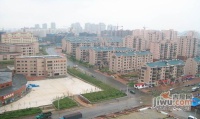 锦泉新城实景图图片